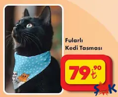 FULARLI KEDİ TASMASI indirimli fiyat FULARLI KEDİ TASMASI fiyat ve kampanya bilgisi